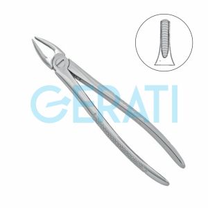 Dental Extracting Forceps No 2 Upper Centrals/Canines