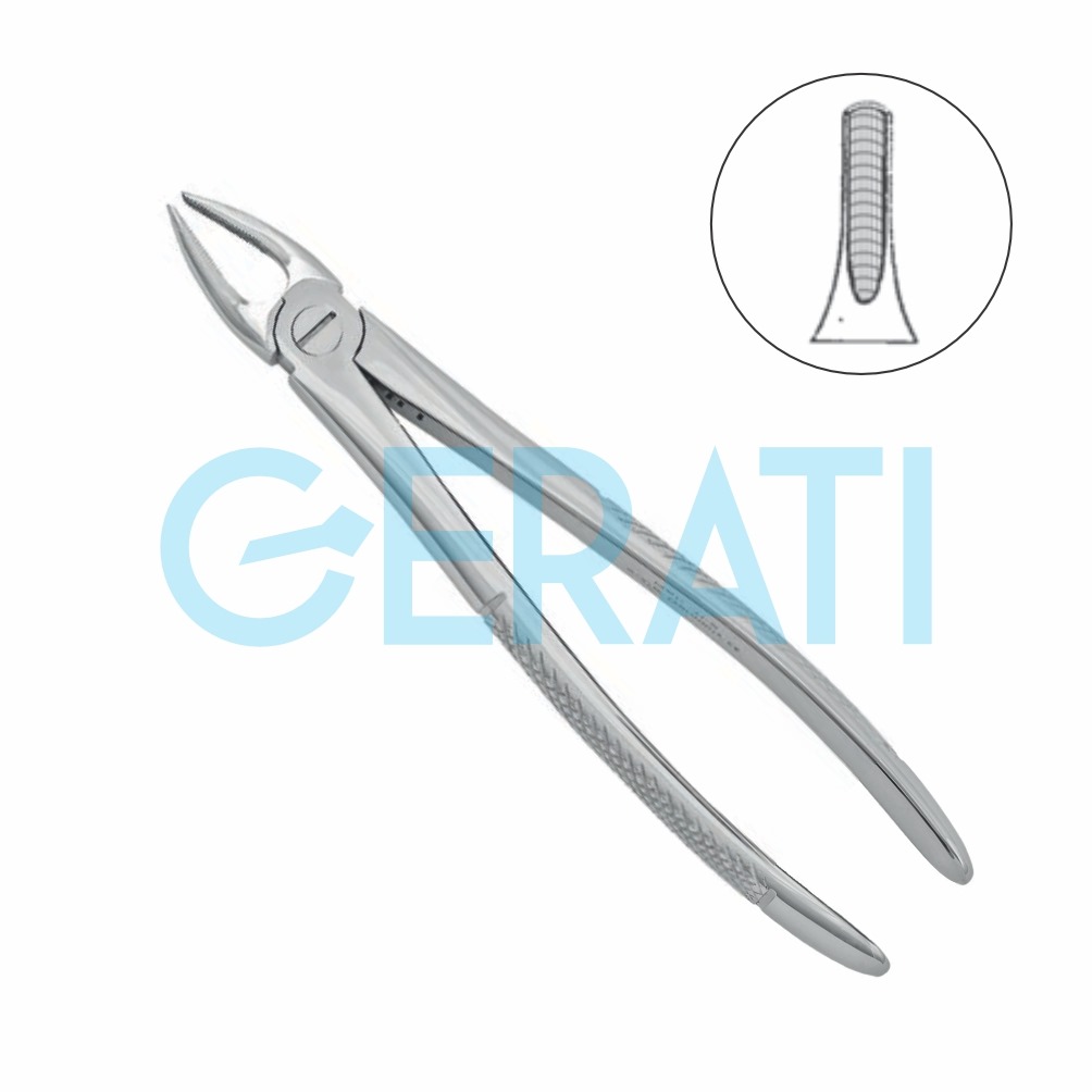 Dental Extracting Forceps No 2 Upper Centrals/Canines