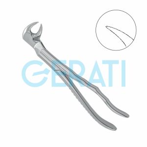 Dental Extracting Forceps No 186R Lower Molars